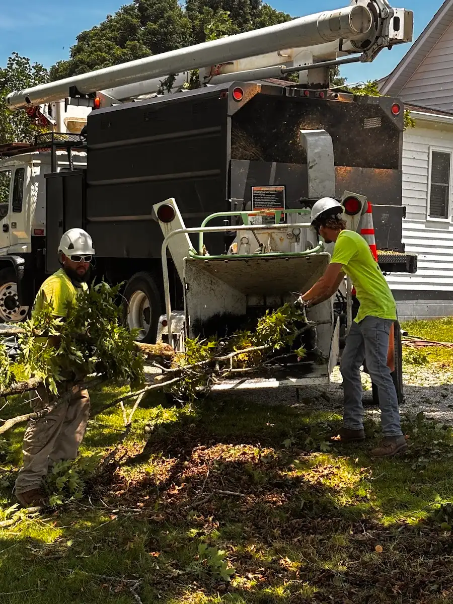 Canopy Tree Service — debris & brush removal in Springfield, MO