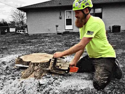 Stump Grinding