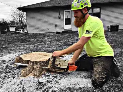 Canopy Tree Service — stump grinding in Springfield, MO