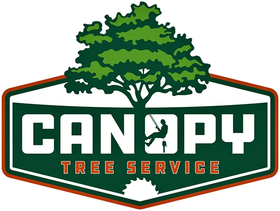 Canopy Tree Service