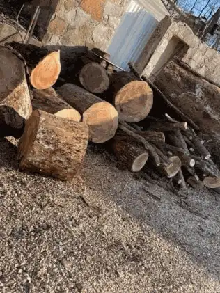 Tree Removal